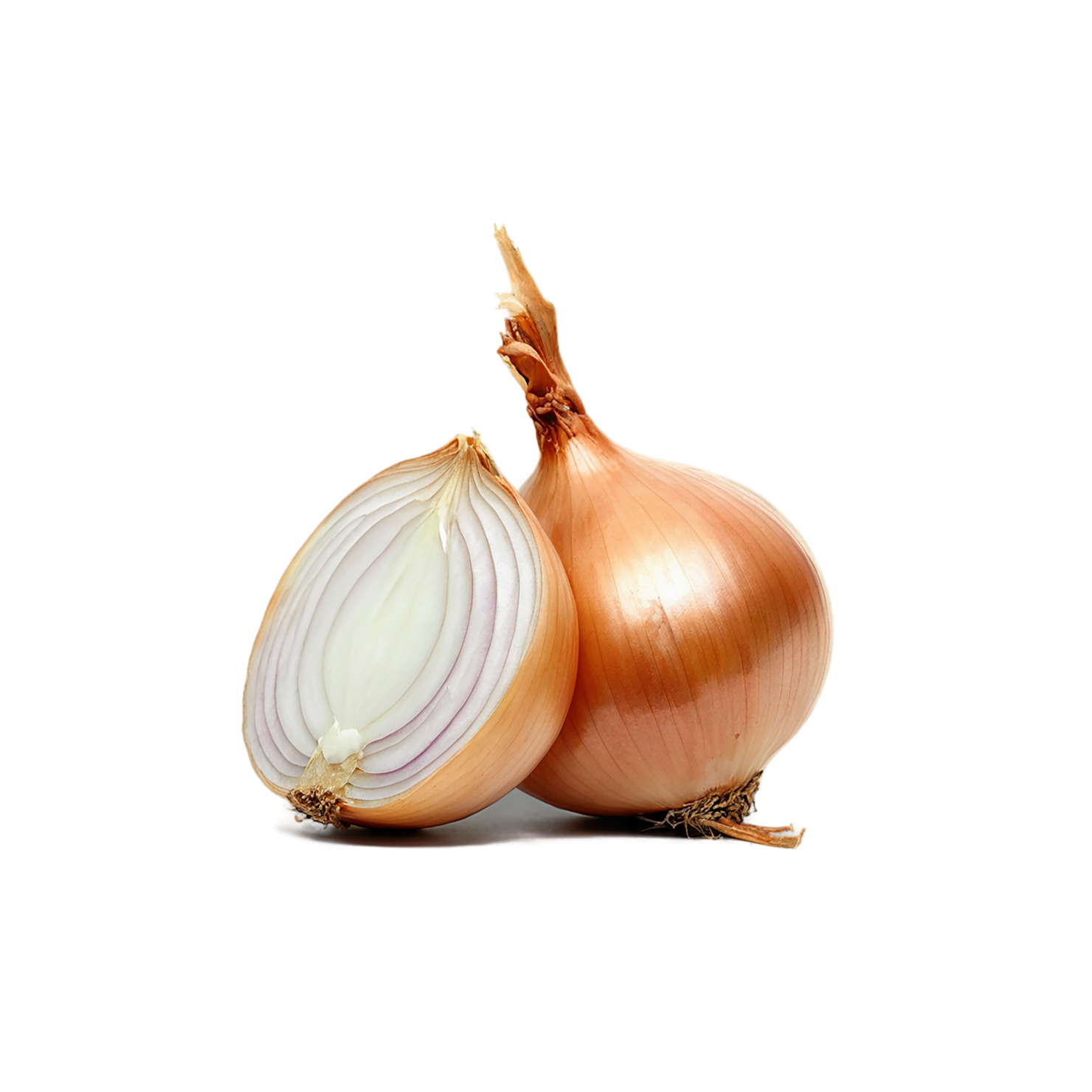 Onion vegetables isolated on transparent background #11751