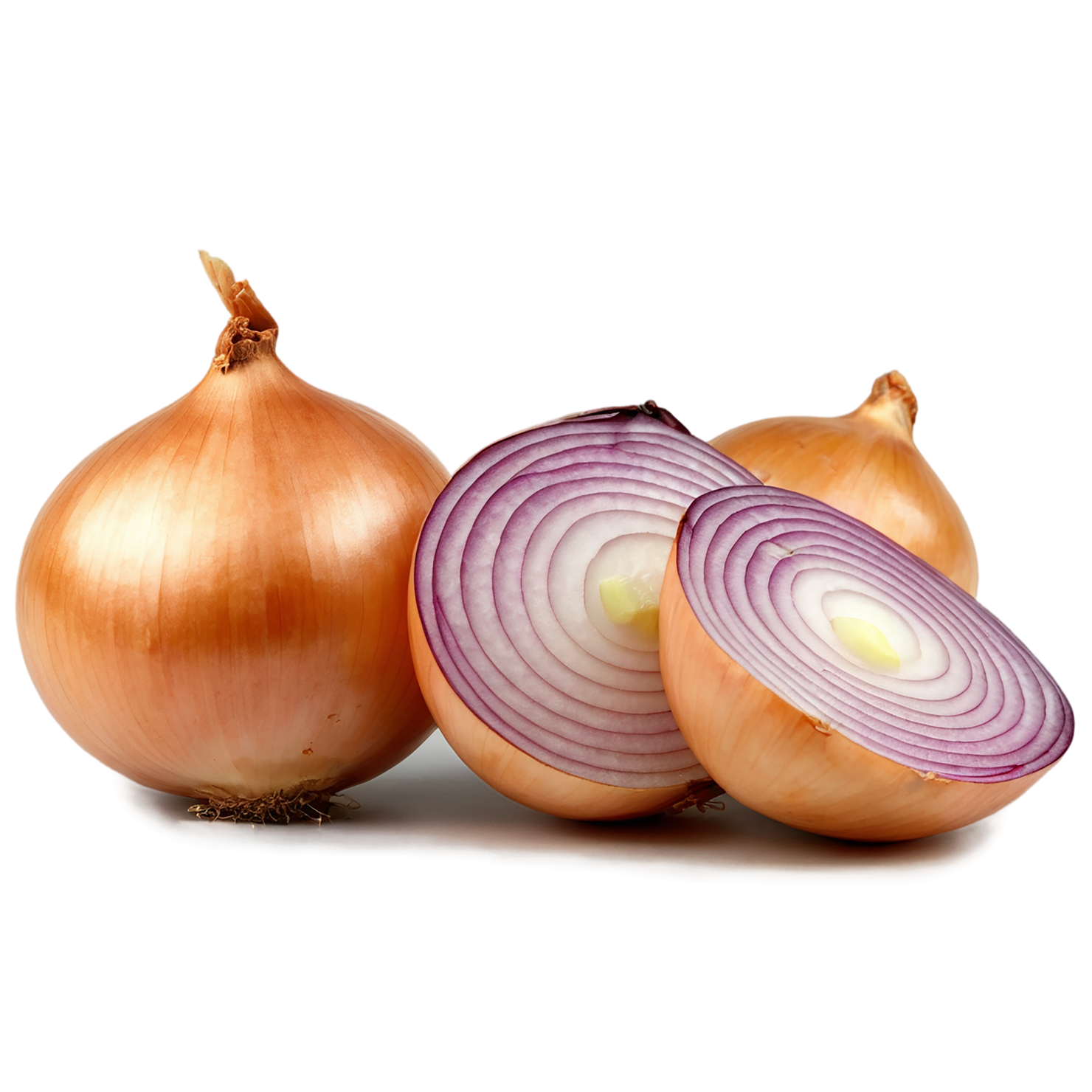 Onion vegetables isolated on transparent background #11759