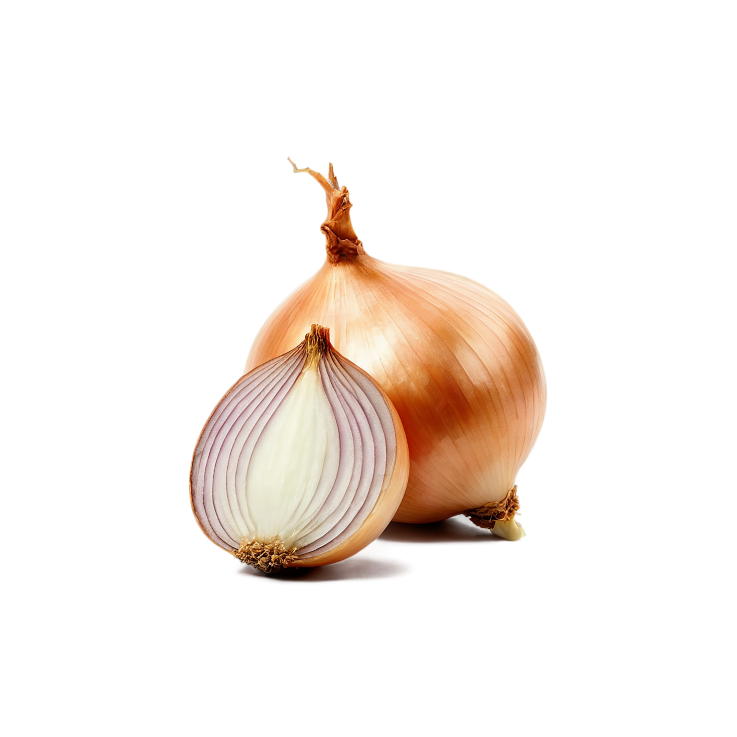 Onion vegetables isolated on transparent background #11776