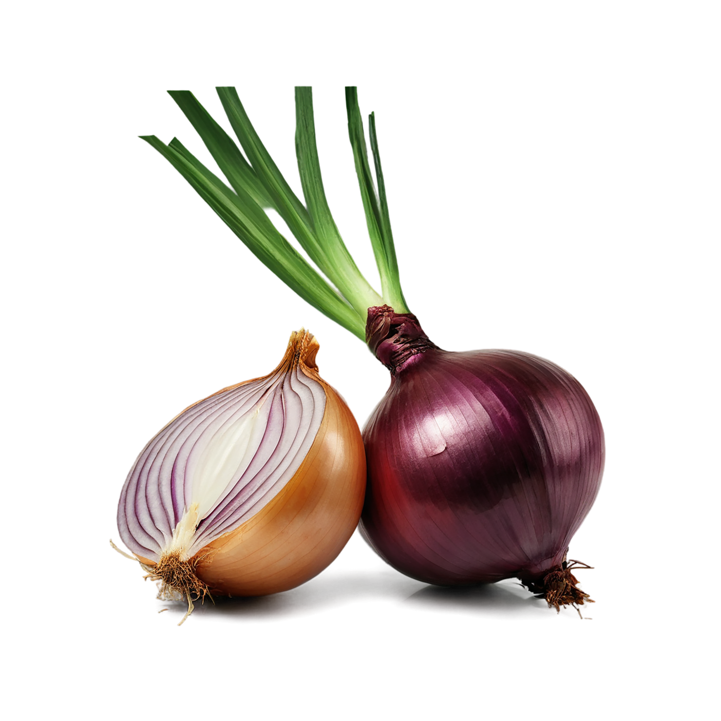 Onion vegetables isolated on transparent background #11785