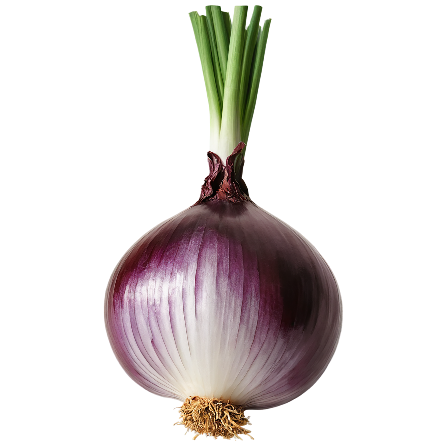 Onion vegetables isolated on transparent background #11787