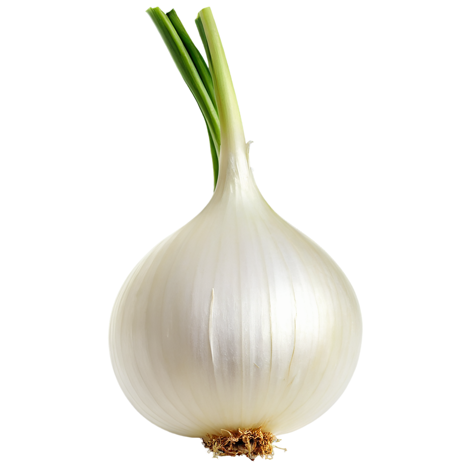 Onion vegetables isolated on transparent background #11789