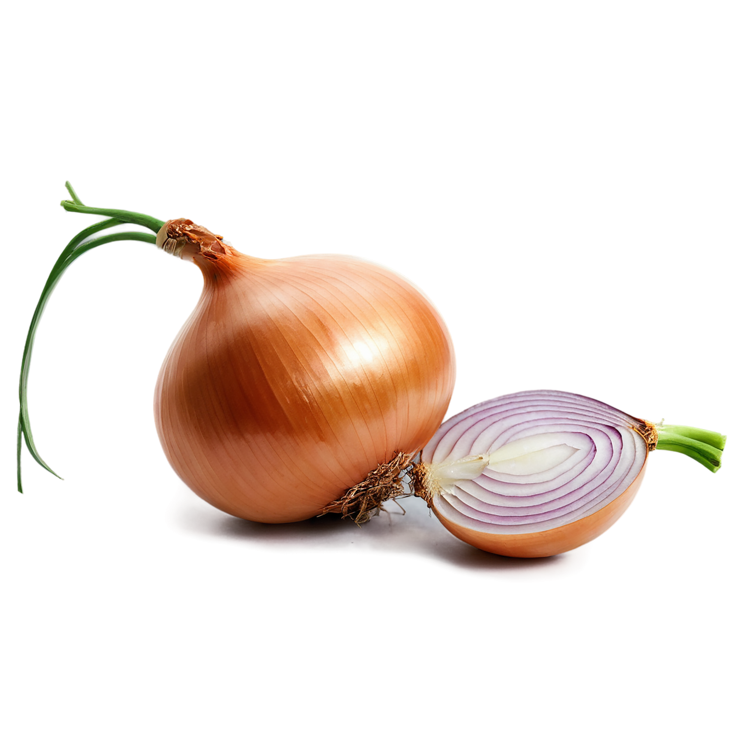 Onion vegetables isolated on transparent background #11800