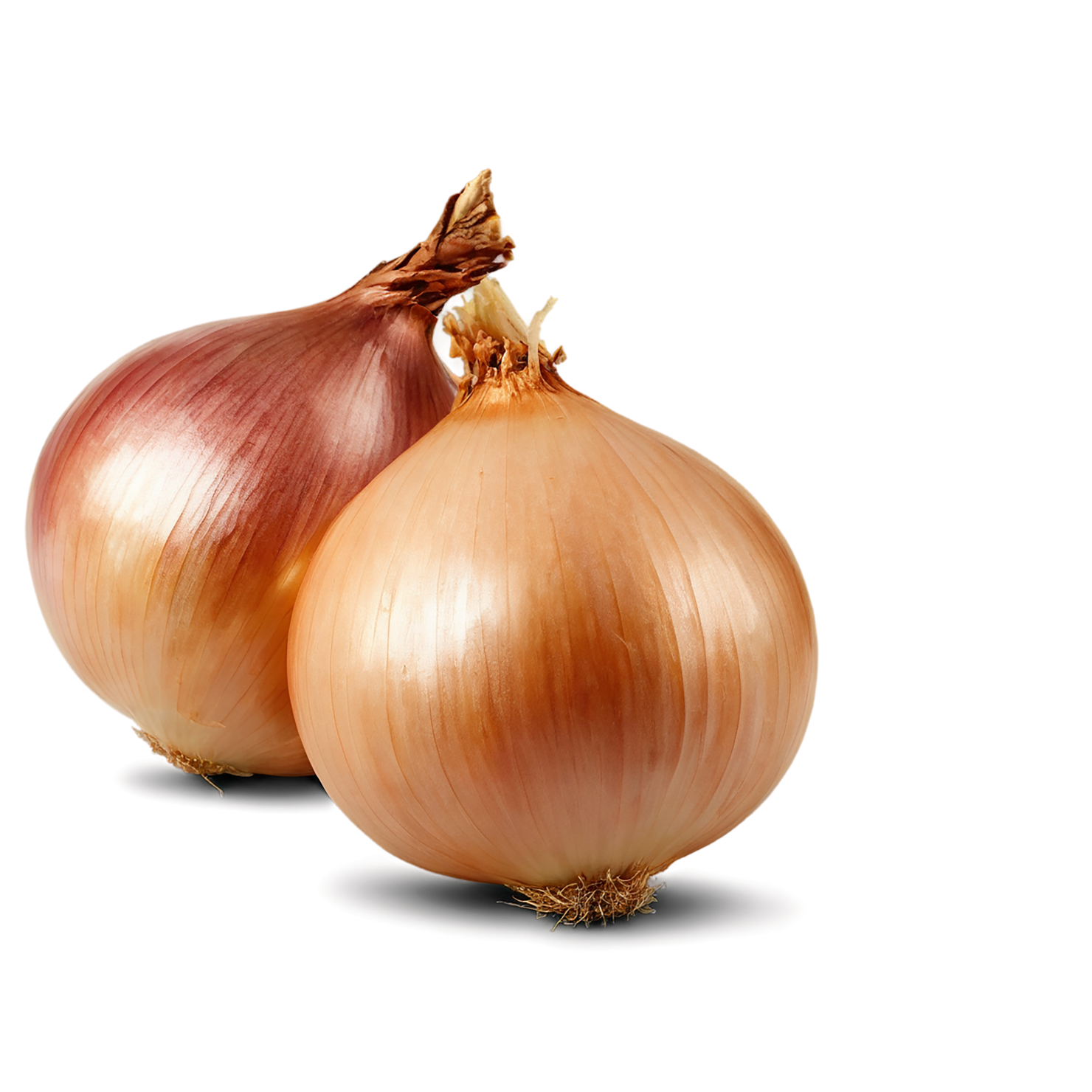 Onion vegetables isolated on transparent background #11801