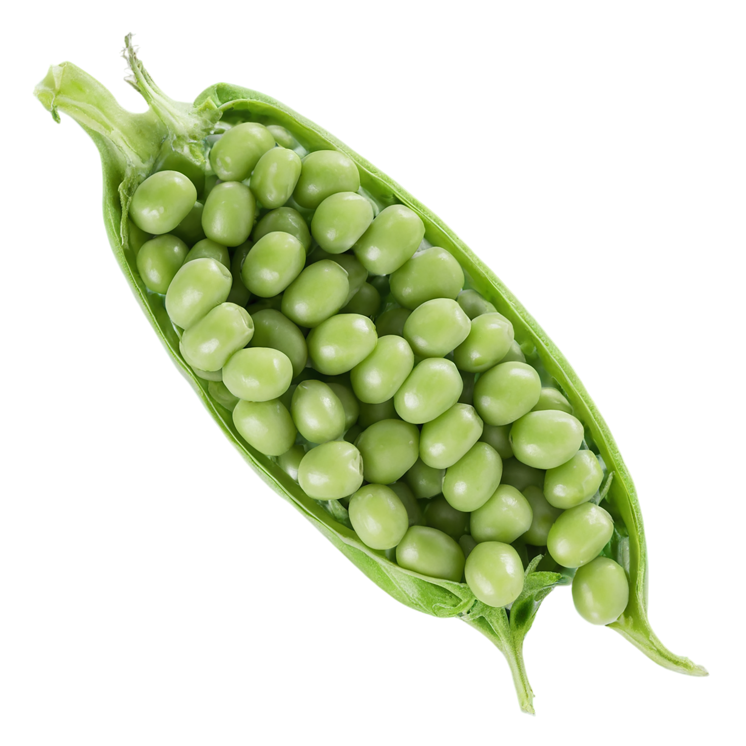 Peas vegetables isolated on transparent background #11807