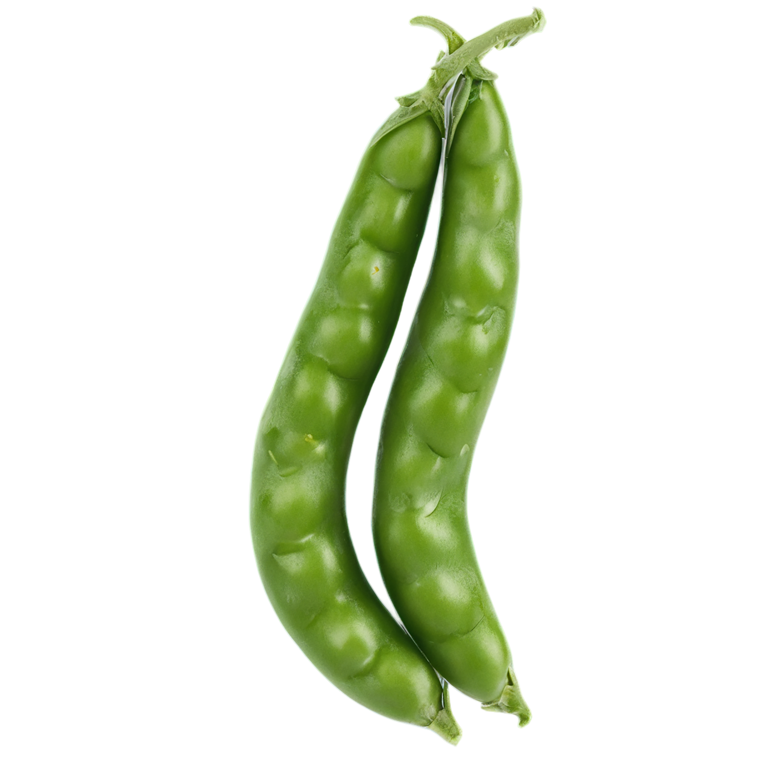 Peas vegetables isolated on transparent background #11810