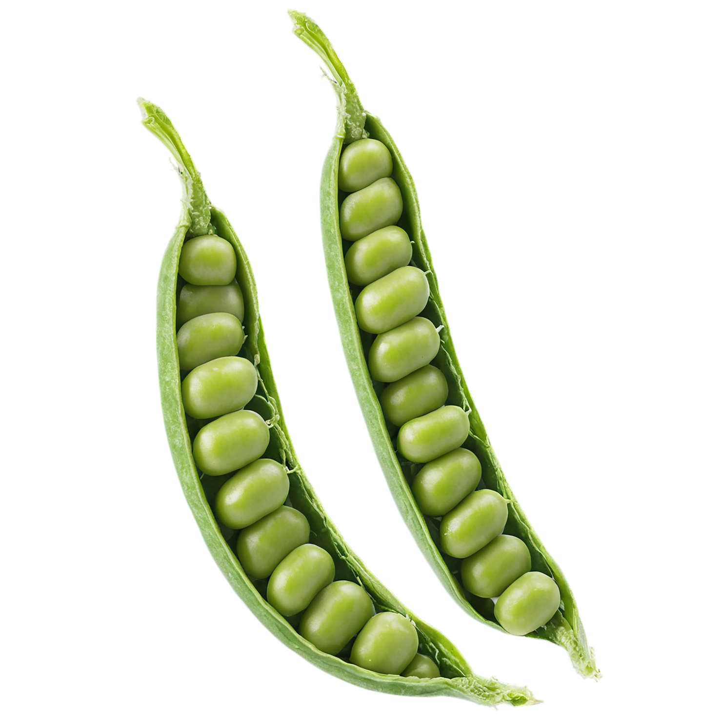 Peas vegetables isolated on transparent background #11818