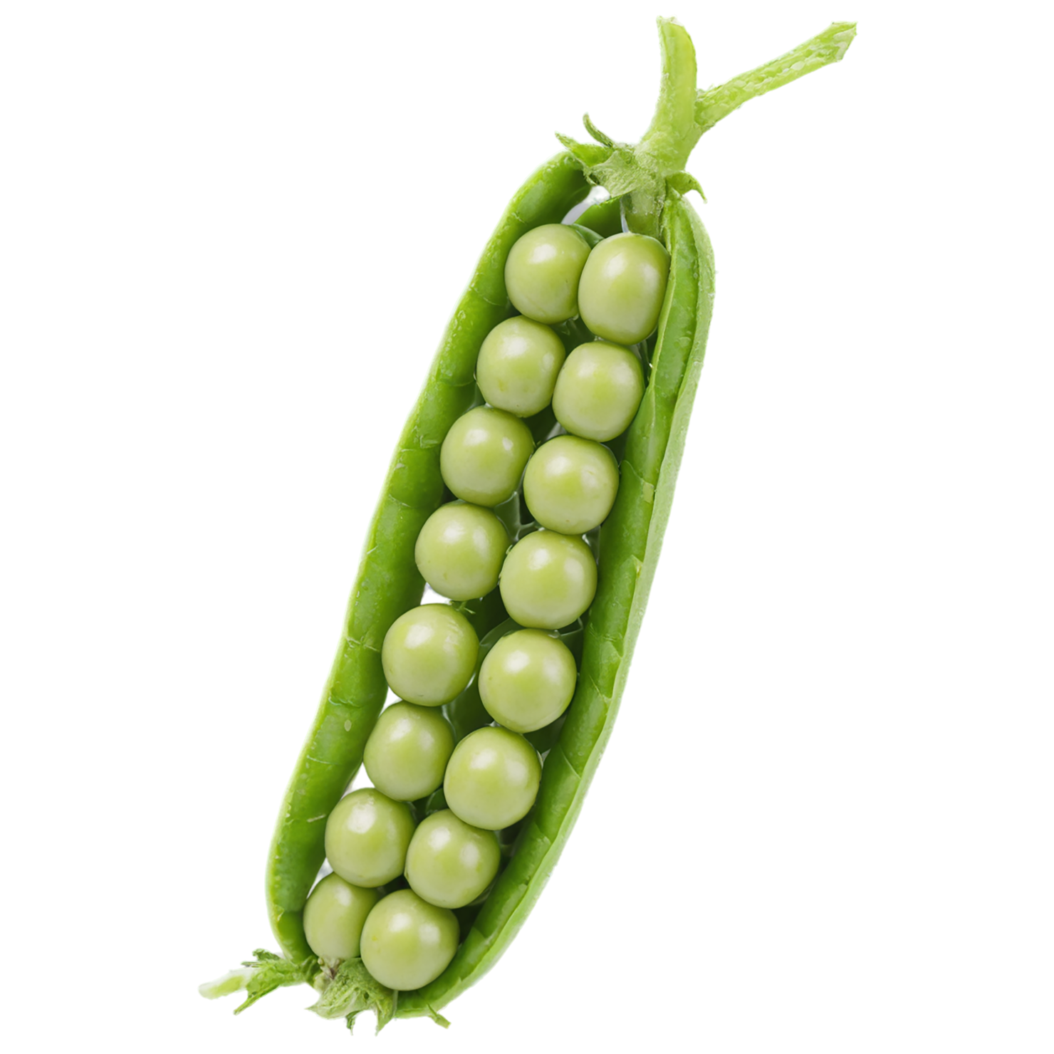 Peas vegetables isolated on transparent background #11827