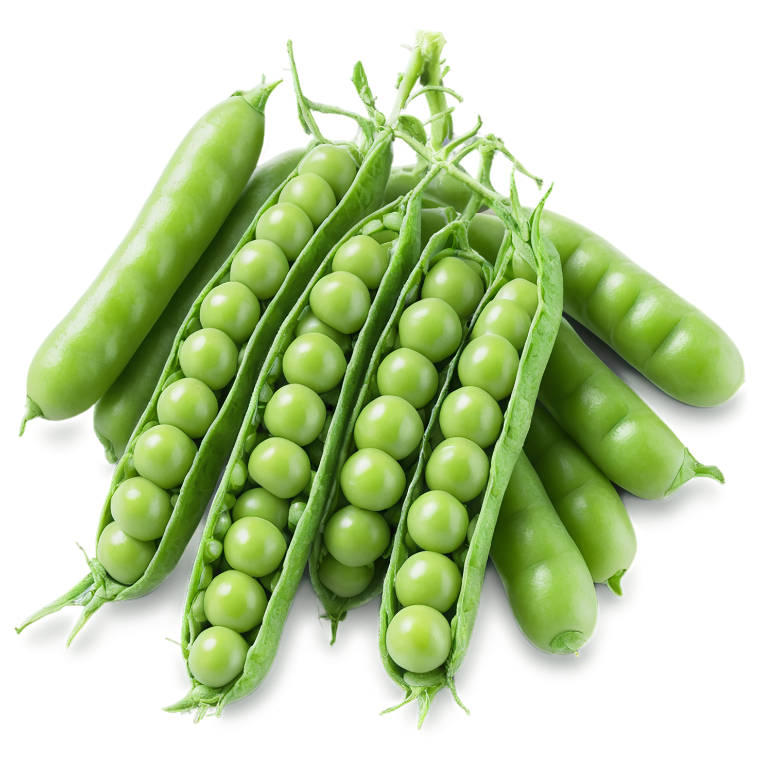 Peas vegetables isolated on transparent background #11829
