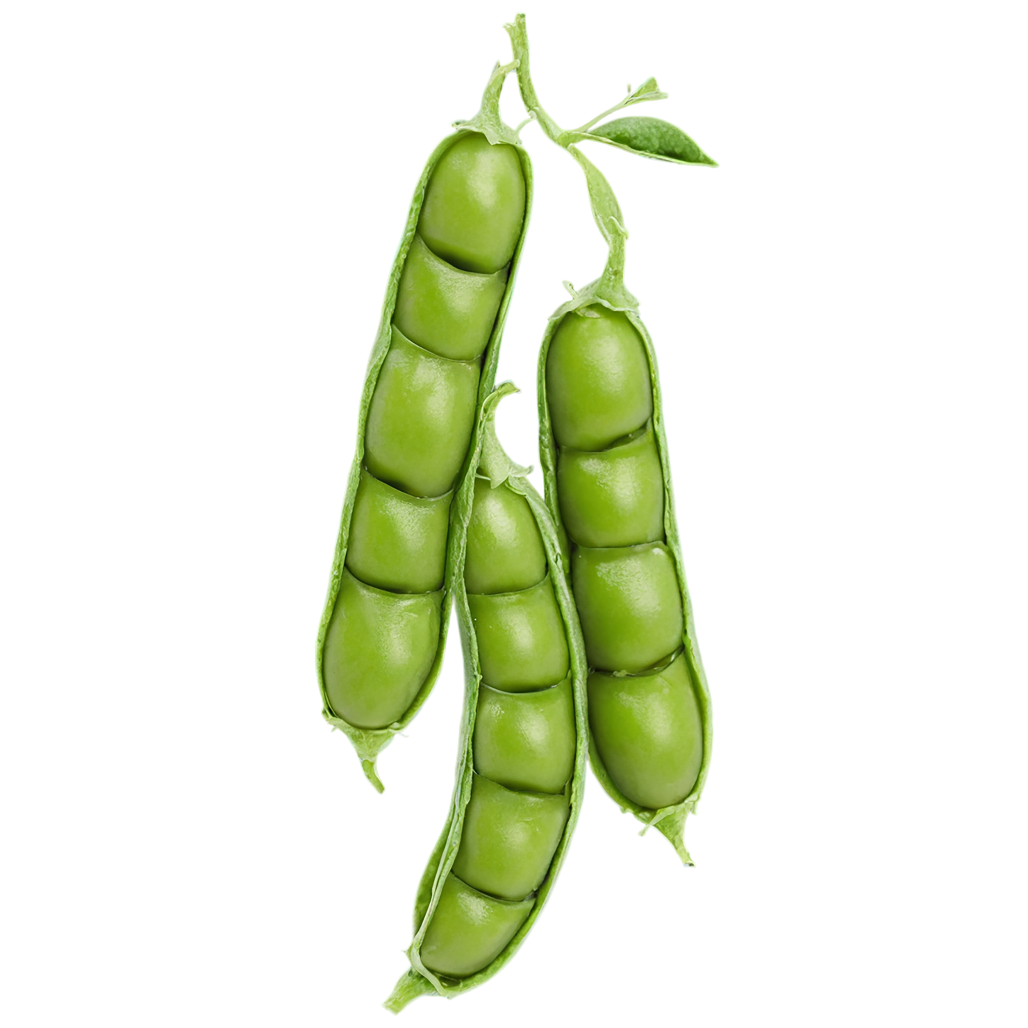 Peas vegetables isolated on transparent background #11832