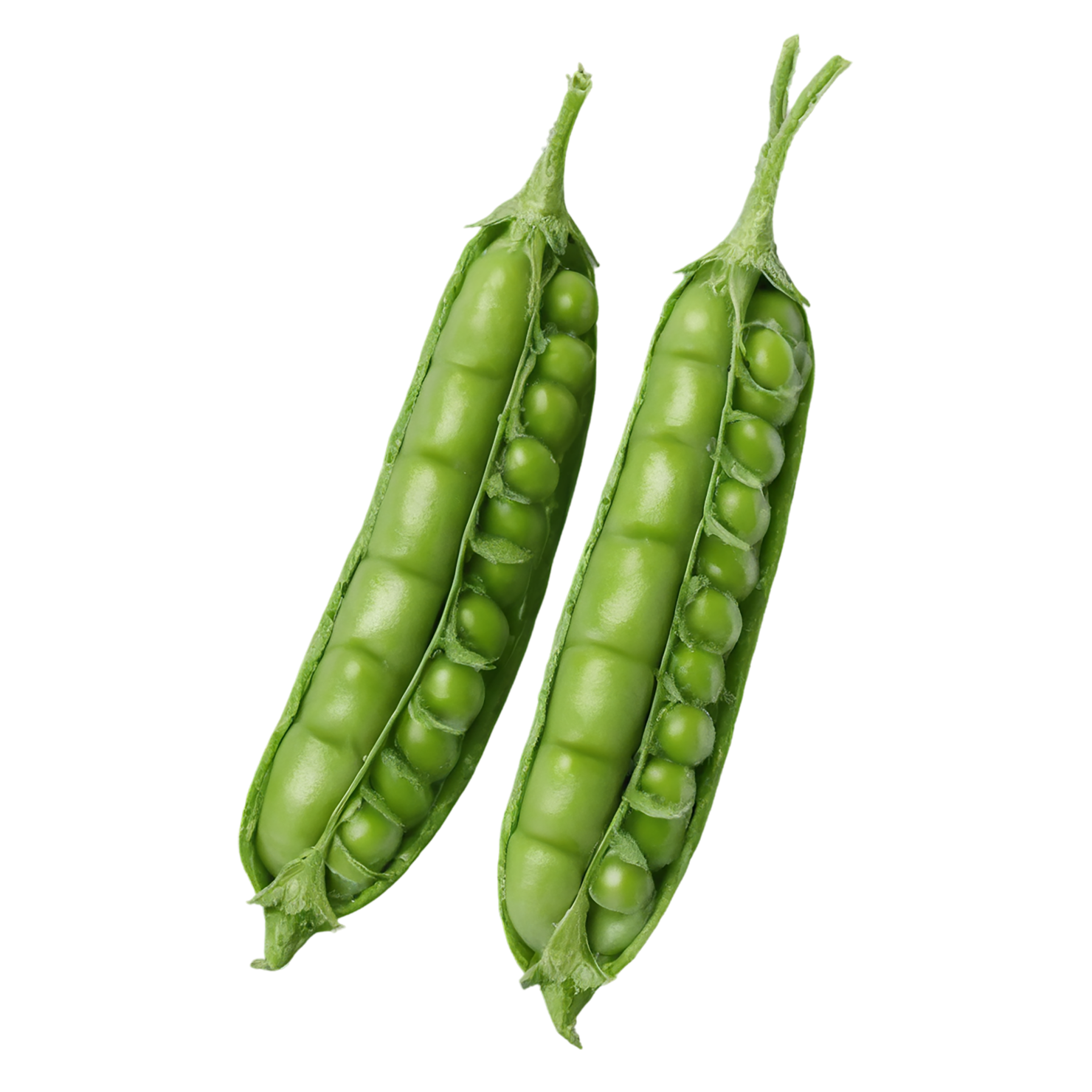 Peas vegetables isolated on transparent background #11836