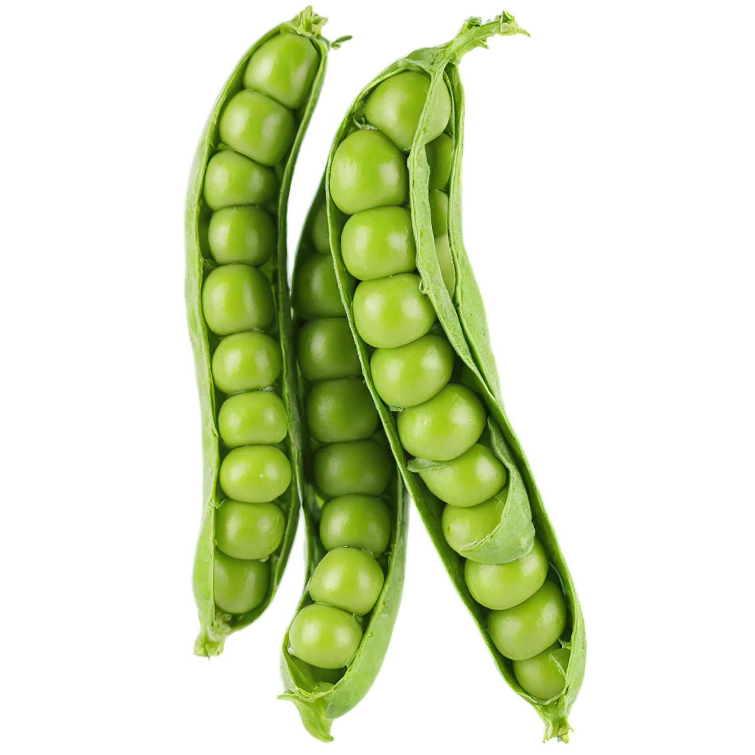 Peas vegetables isolated on transparent background #11845