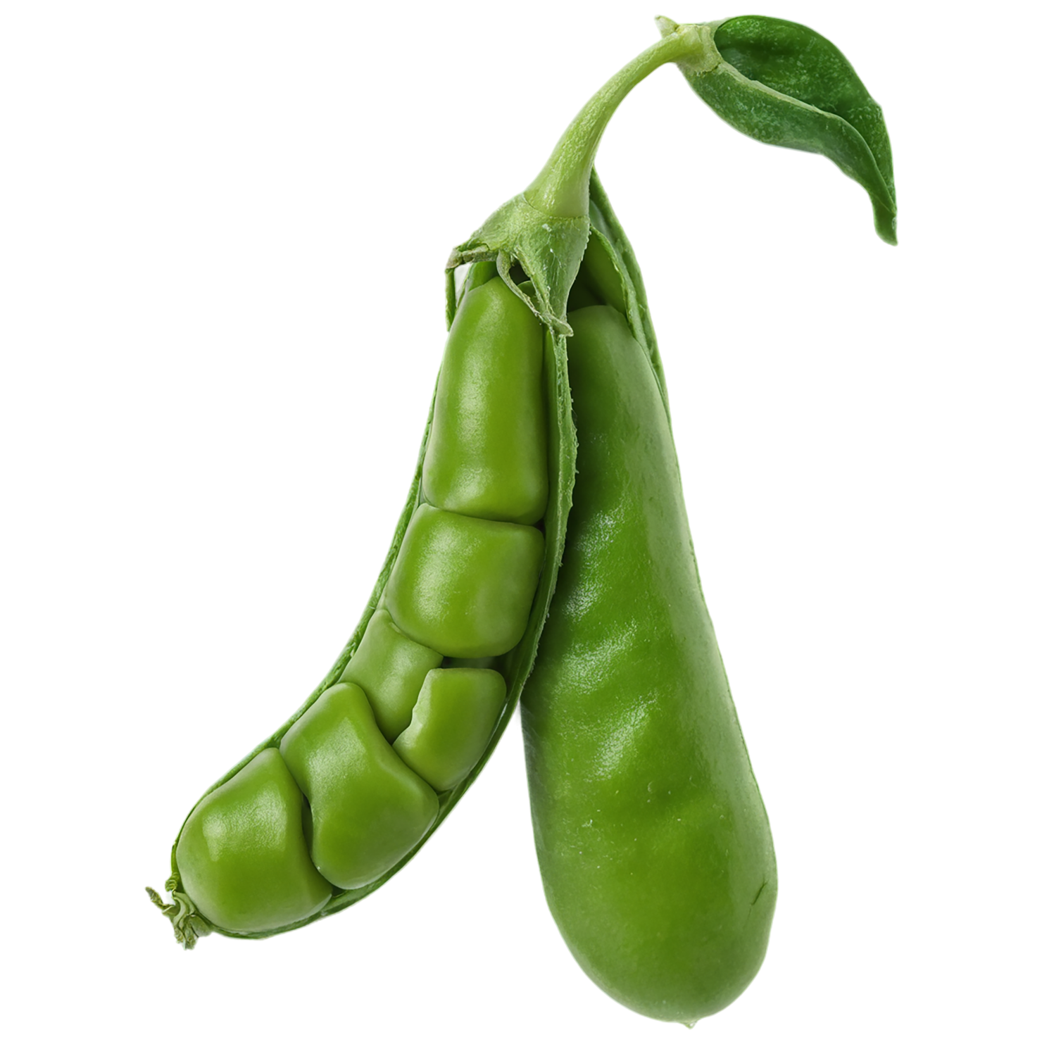 Peas vegetables isolated on transparent background #11847