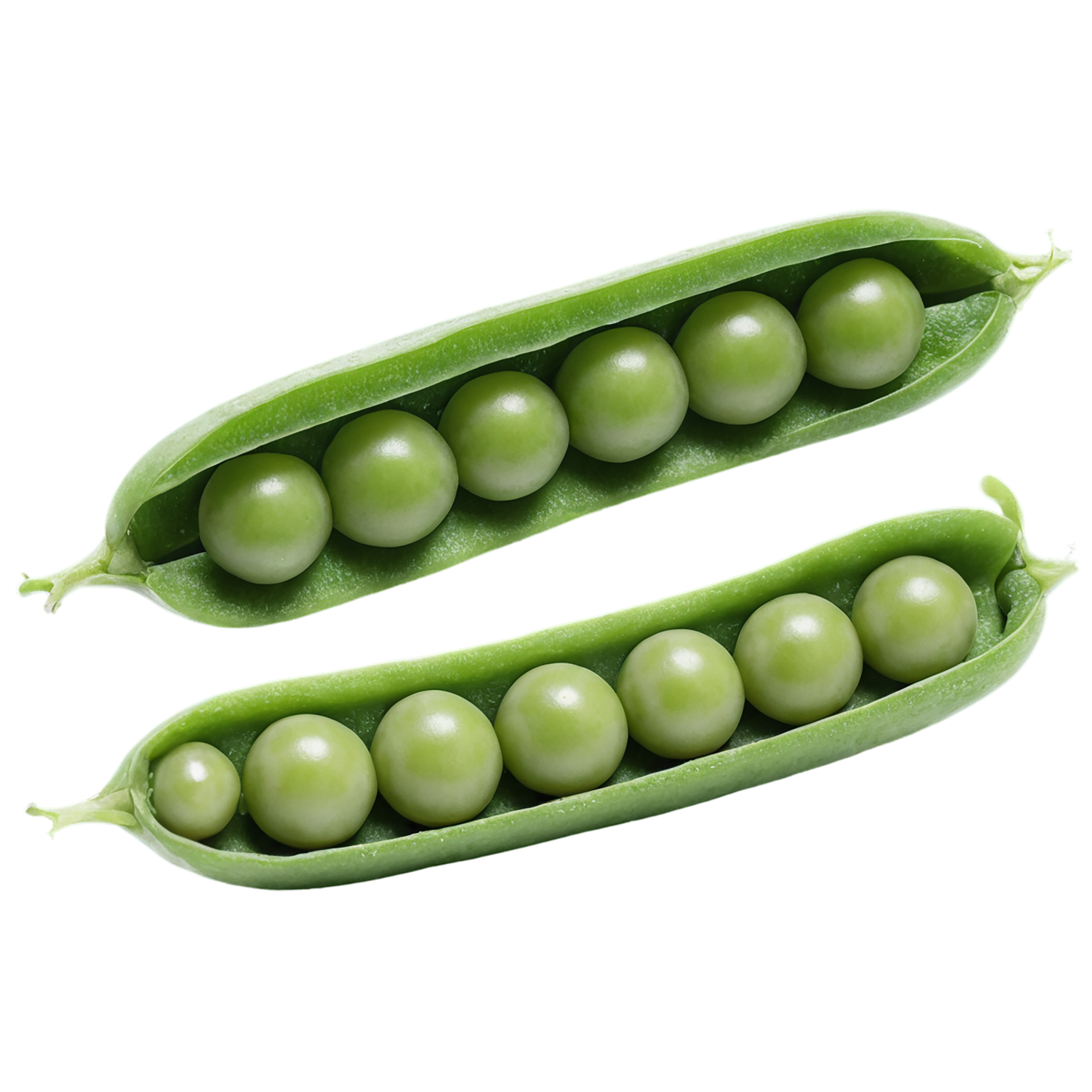 Peas vegetables isolated on transparent background #11848