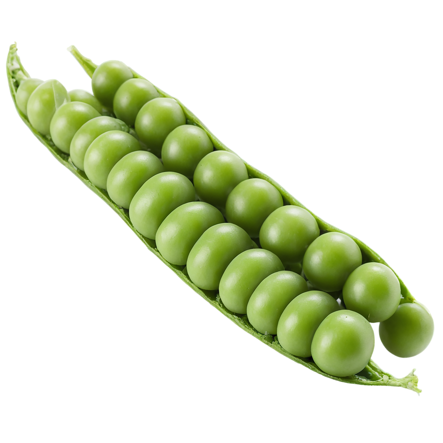 Peas vegetables isolated on transparent background #11850