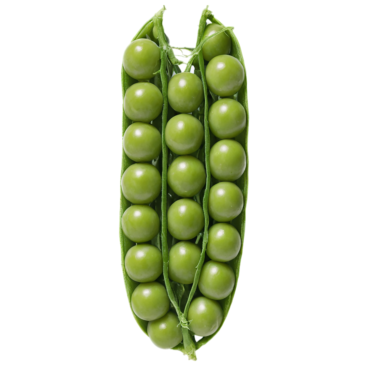 Peas vegetables isolated on transparent background #11859