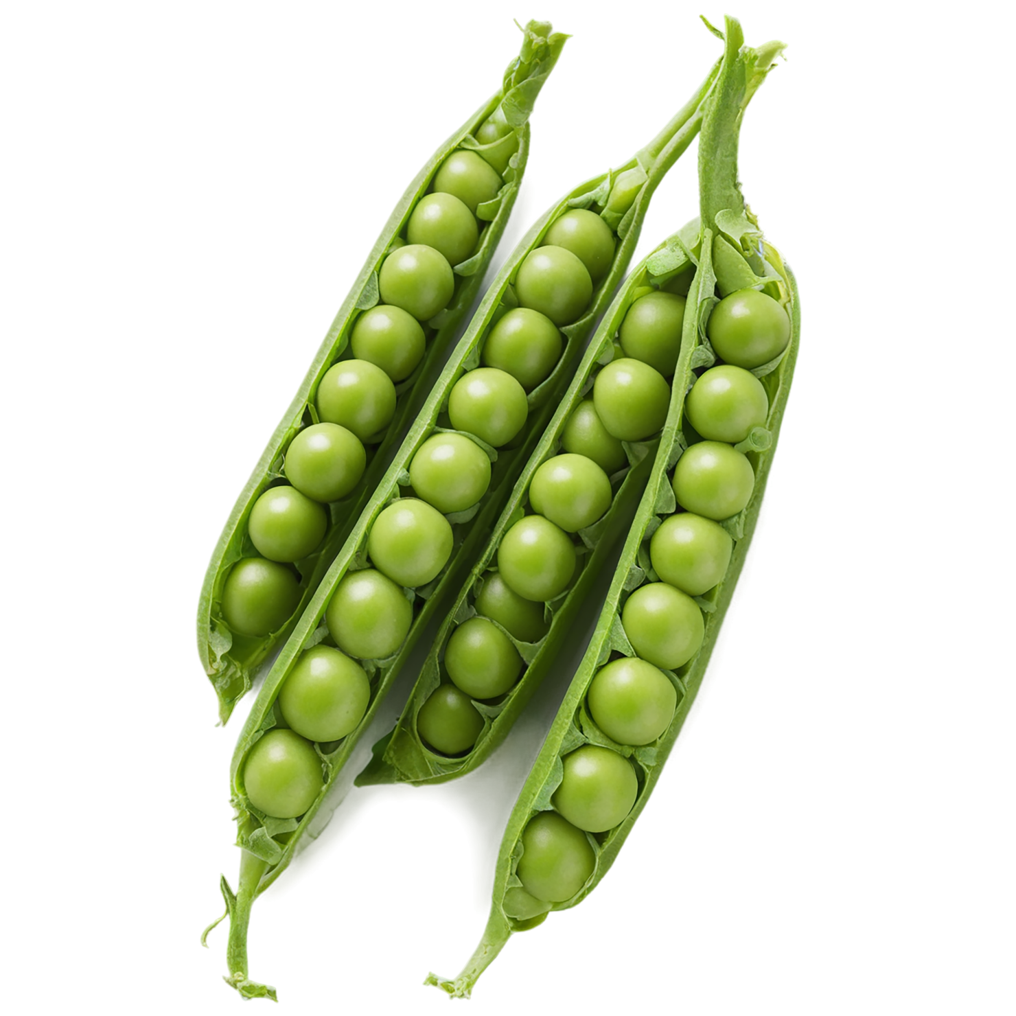 Peas vegetables isolated on transparent background #11862
