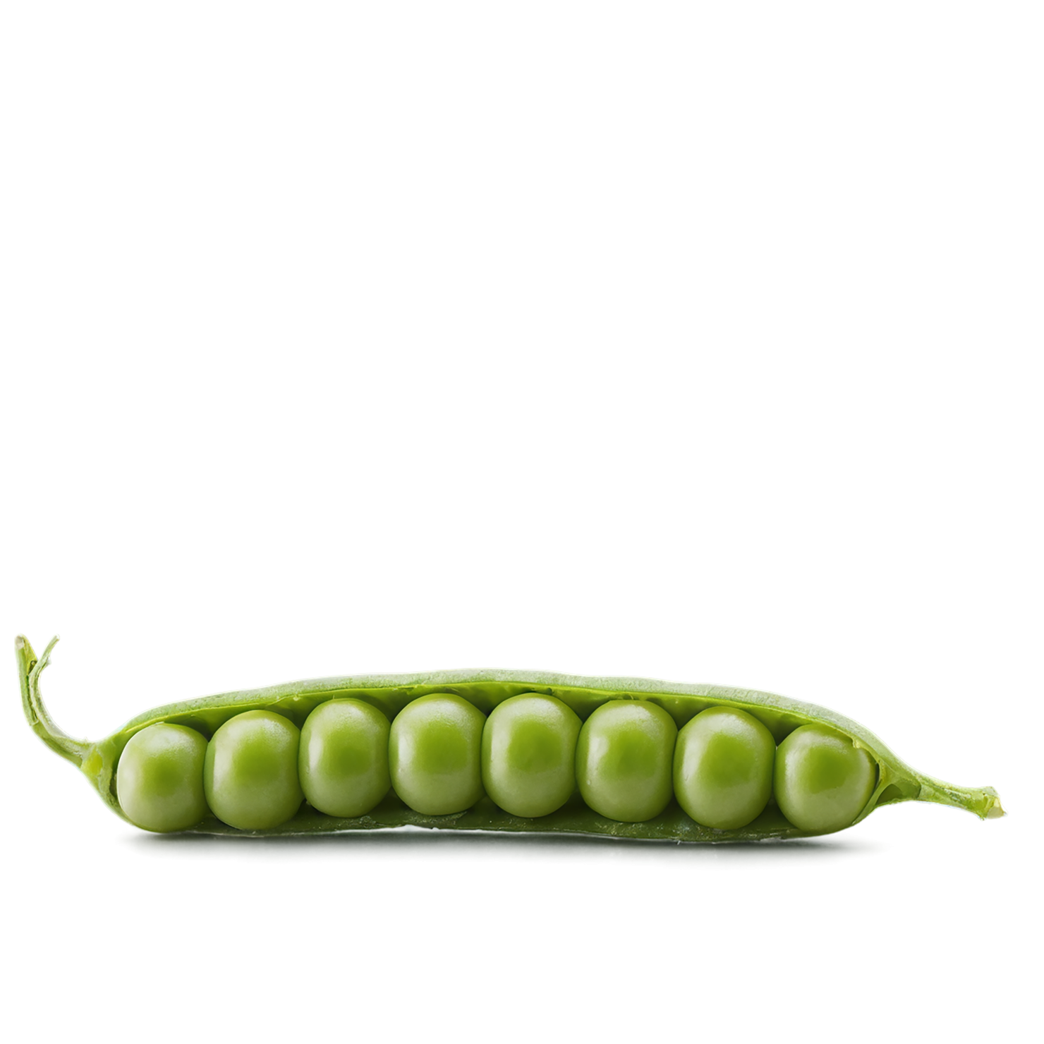 Peas vegetables isolated on transparent background #11866