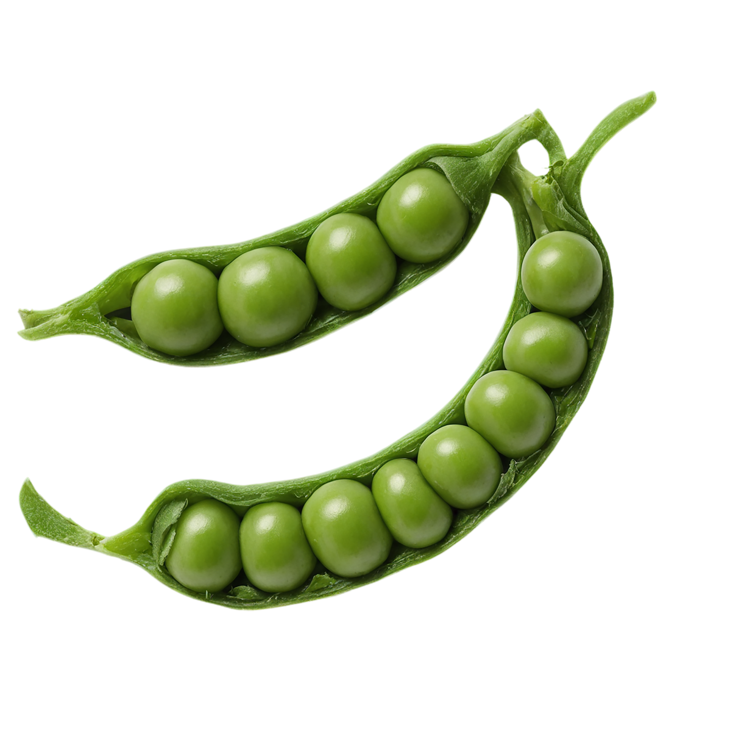 Peas vegetables isolated on transparent background #11867