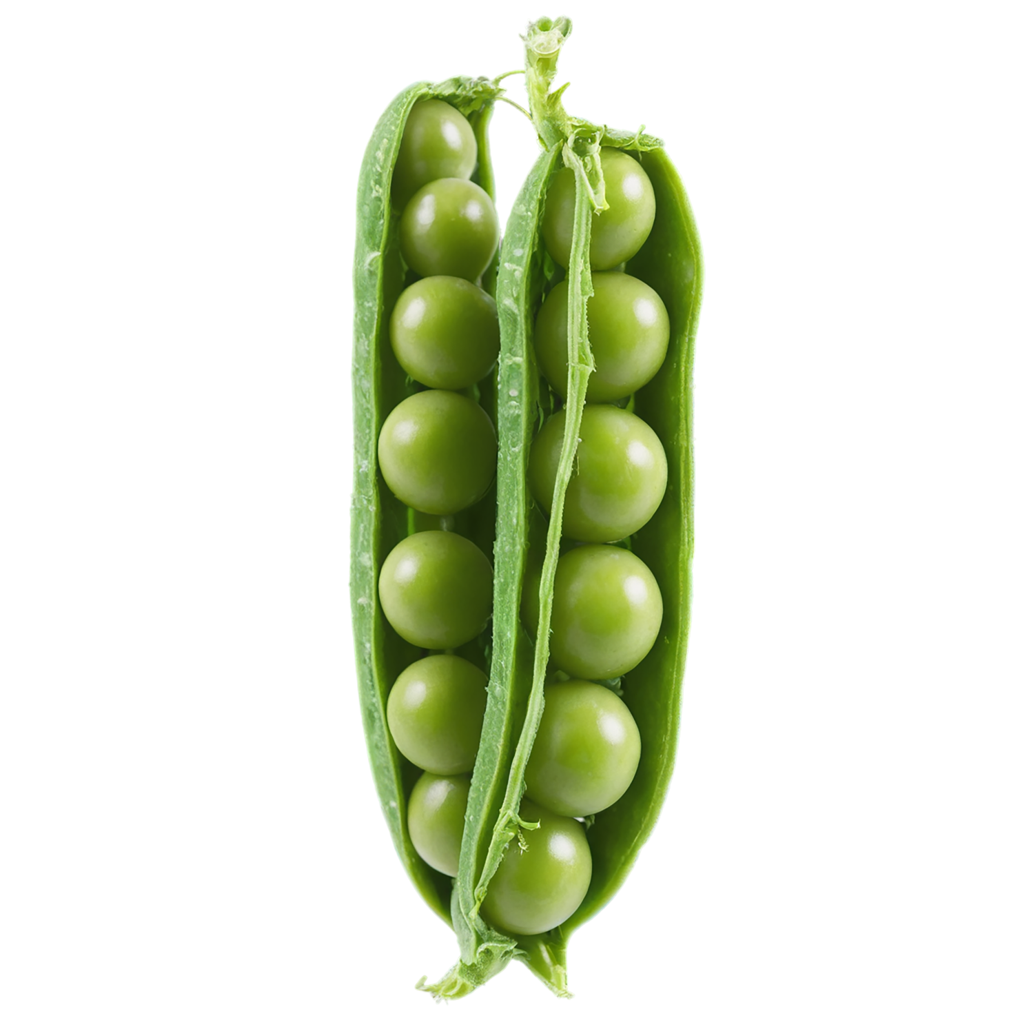 Peas vegetables isolated on transparent background #11871