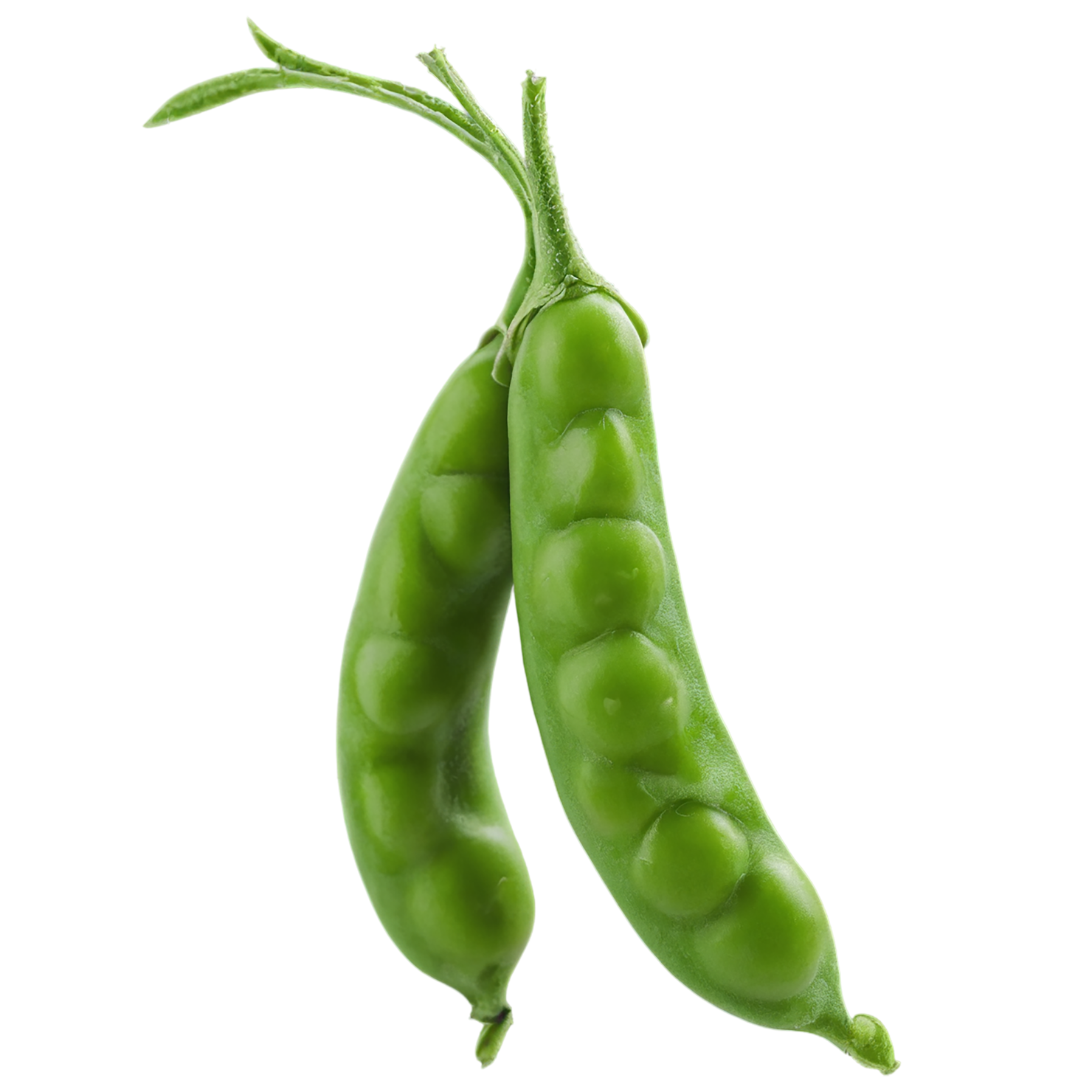 Peas vegetables isolated on transparent background #11872