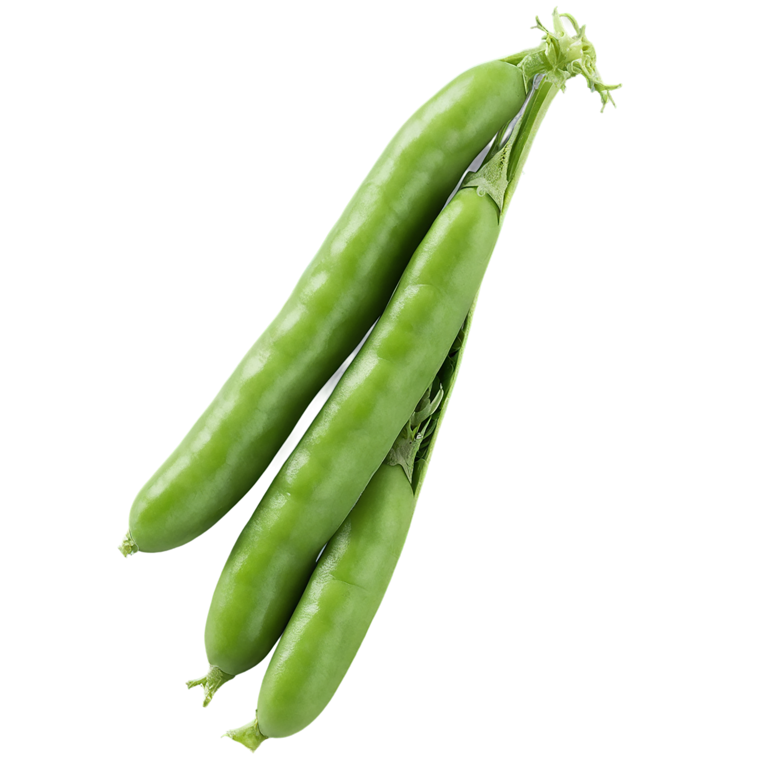 Peas vegetables isolated on transparent background #11887