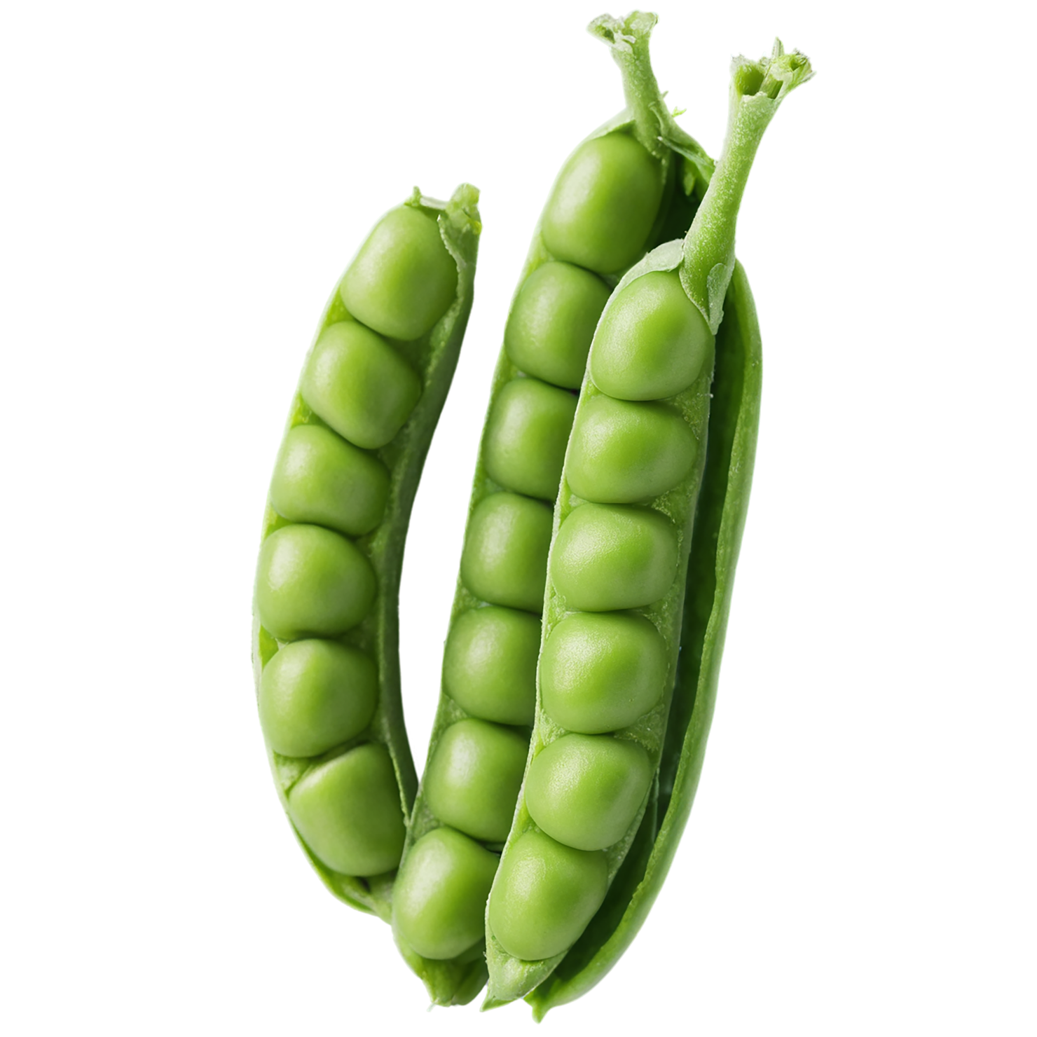 Peas vegetables isolated on transparent background #11890