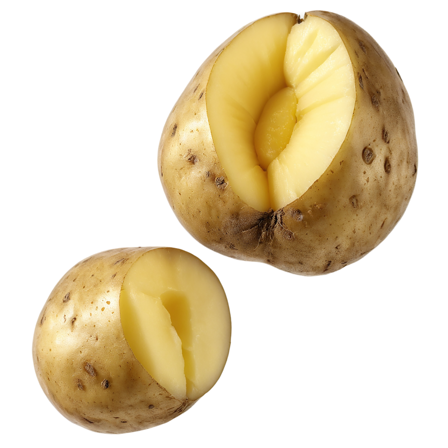 Potato vegetables isolated on transparent background #11900