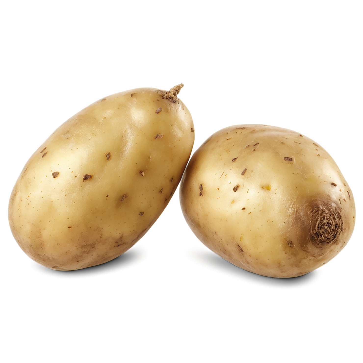 Potato vegetables isolated on transparent background #11901