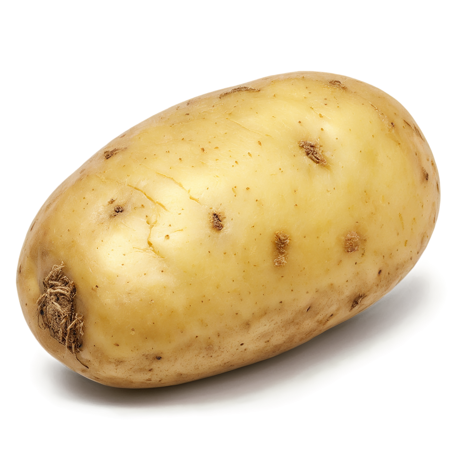 Potato vegetables isolated on transparent background #11908