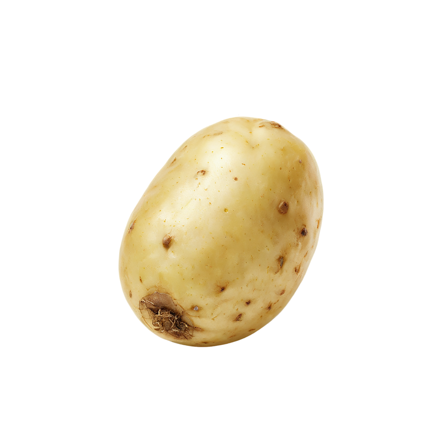 Potato vegetables isolated on transparent background #11912