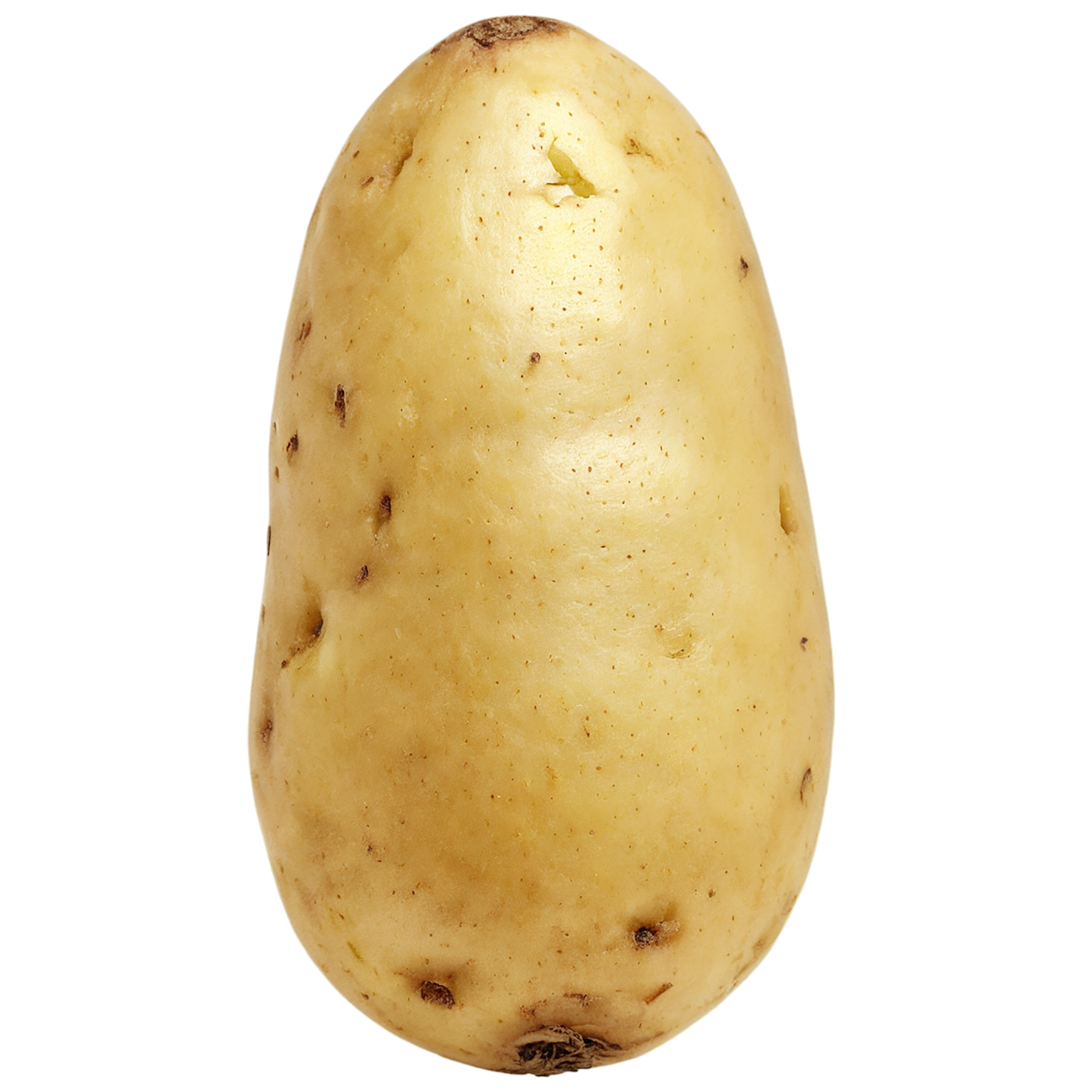 Potato vegetables isolated on transparent background #11914