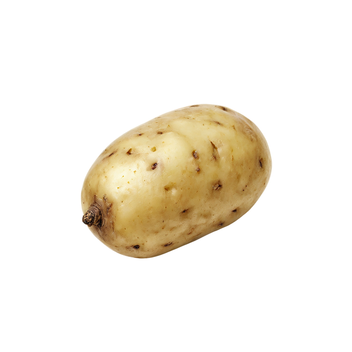 Potato vegetables isolated on transparent background #11925