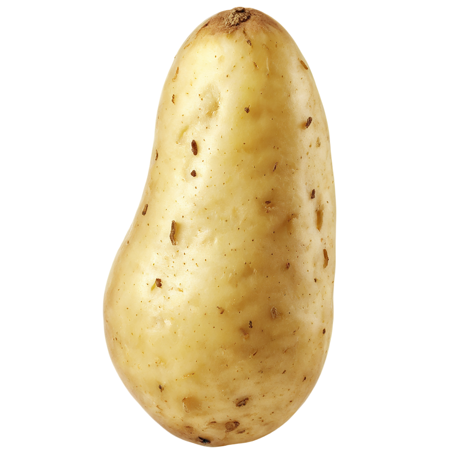 Potato vegetables isolated on transparent background #11927