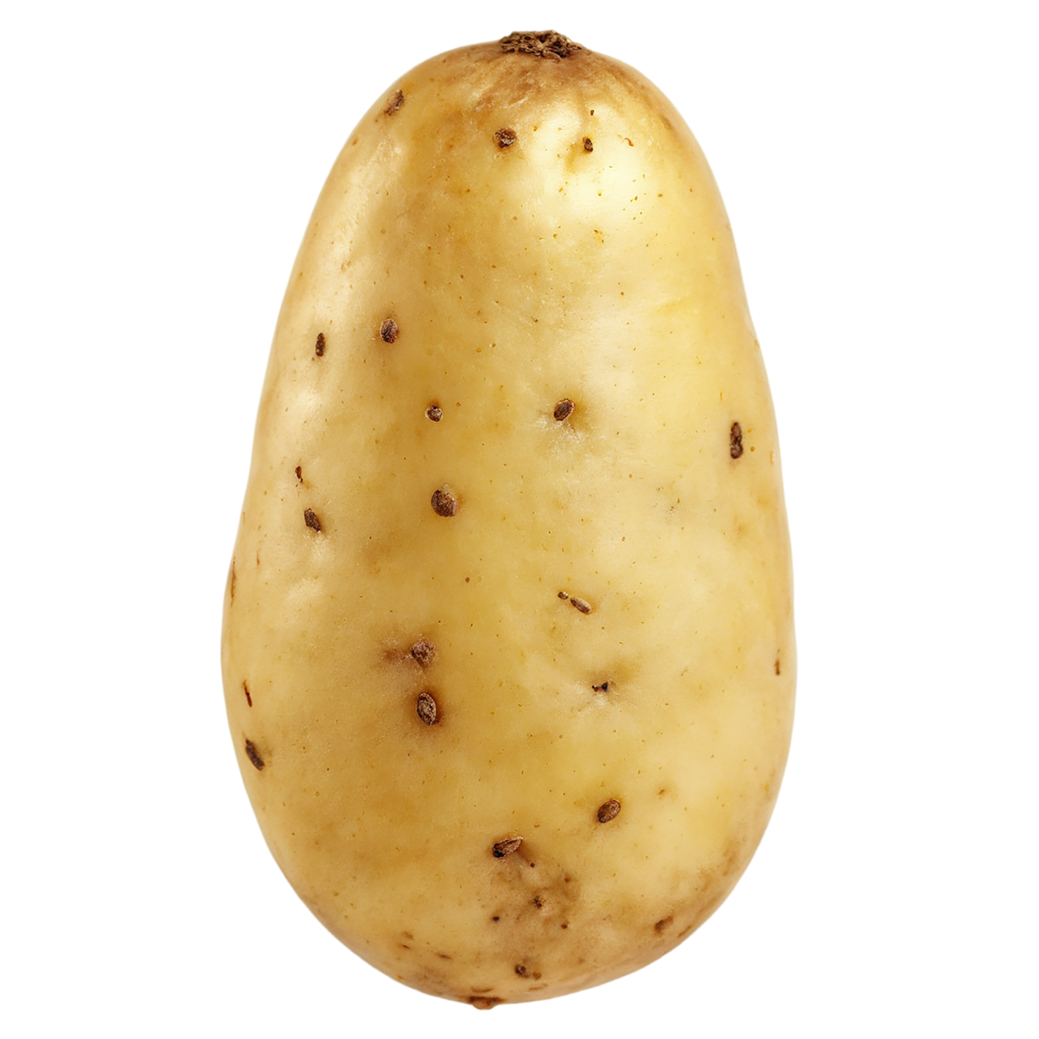 Potato vegetables isolated on transparent background #11929