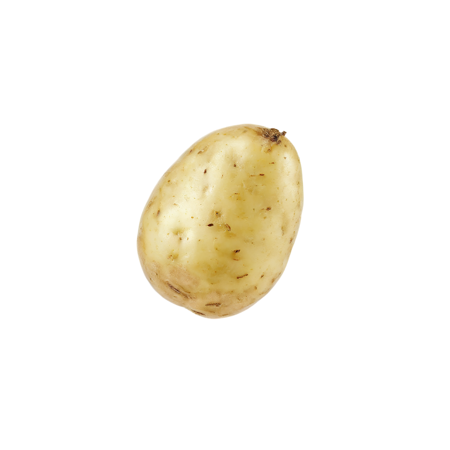 Potato vegetables isolated on transparent background #11930