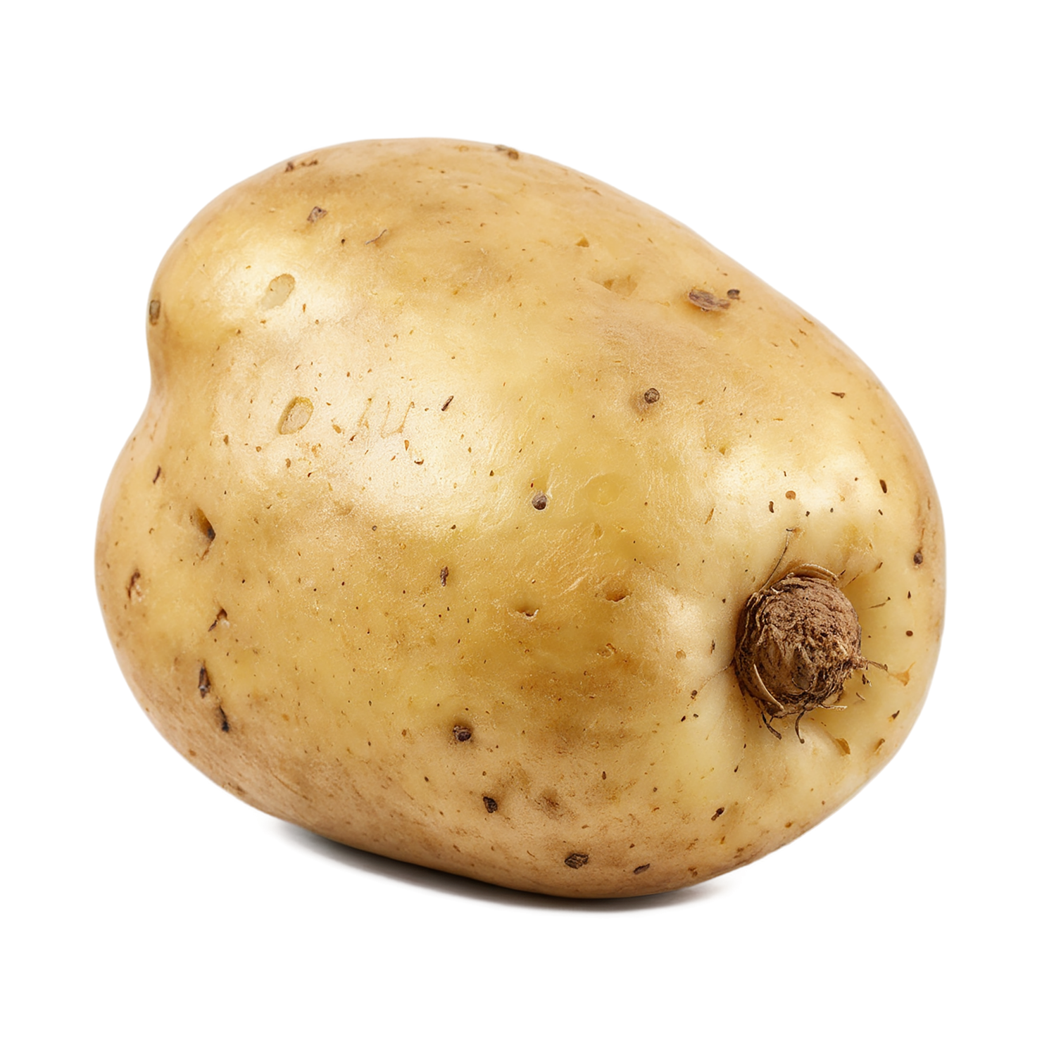 Potato vegetables isolated on transparent background #11931