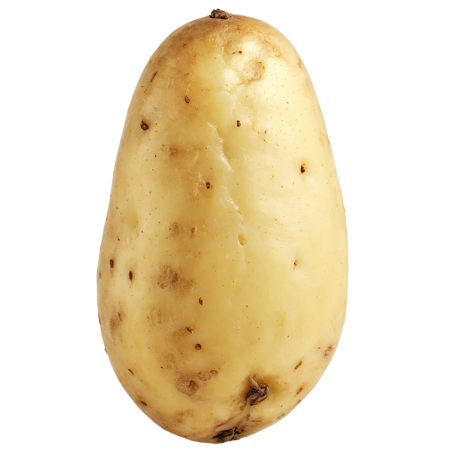 Potato vegetables isolated on transparent background #11937