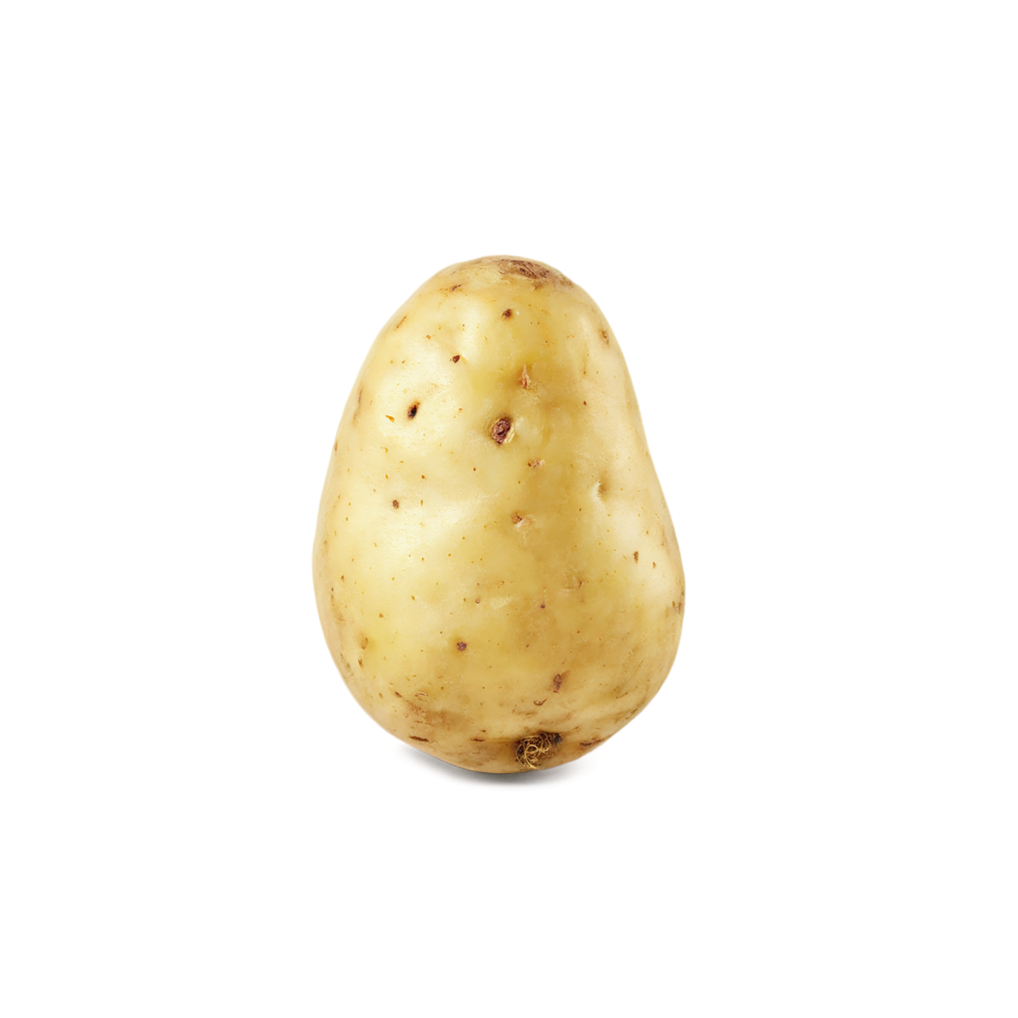 Potato vegetables isolated on transparent background #11939