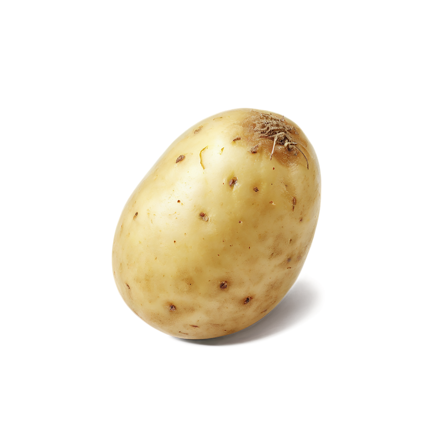 Potato vegetables isolated on transparent background #11947