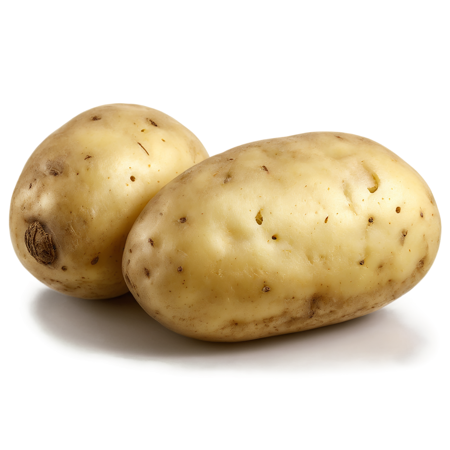 Potato vegetables isolated on transparent background #11950