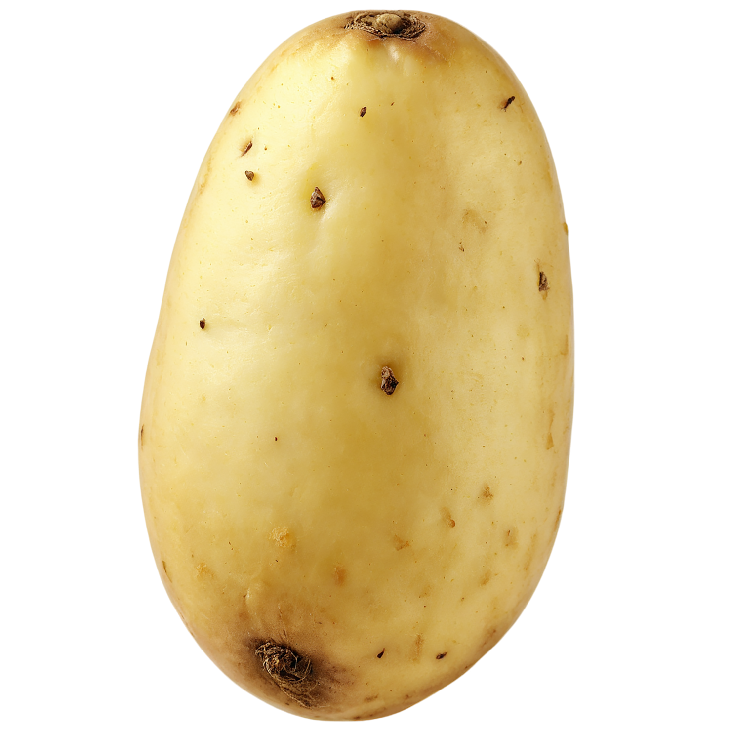 Potato vegetables isolated on transparent background #11956