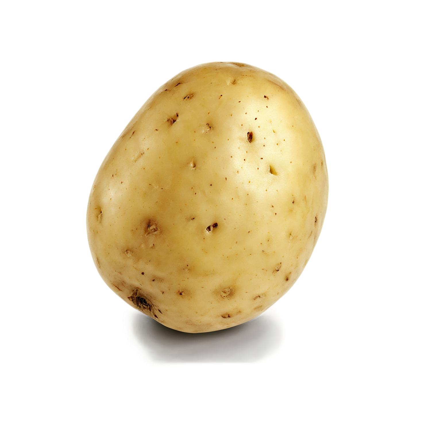 Potato vegetables isolated on transparent background #11963