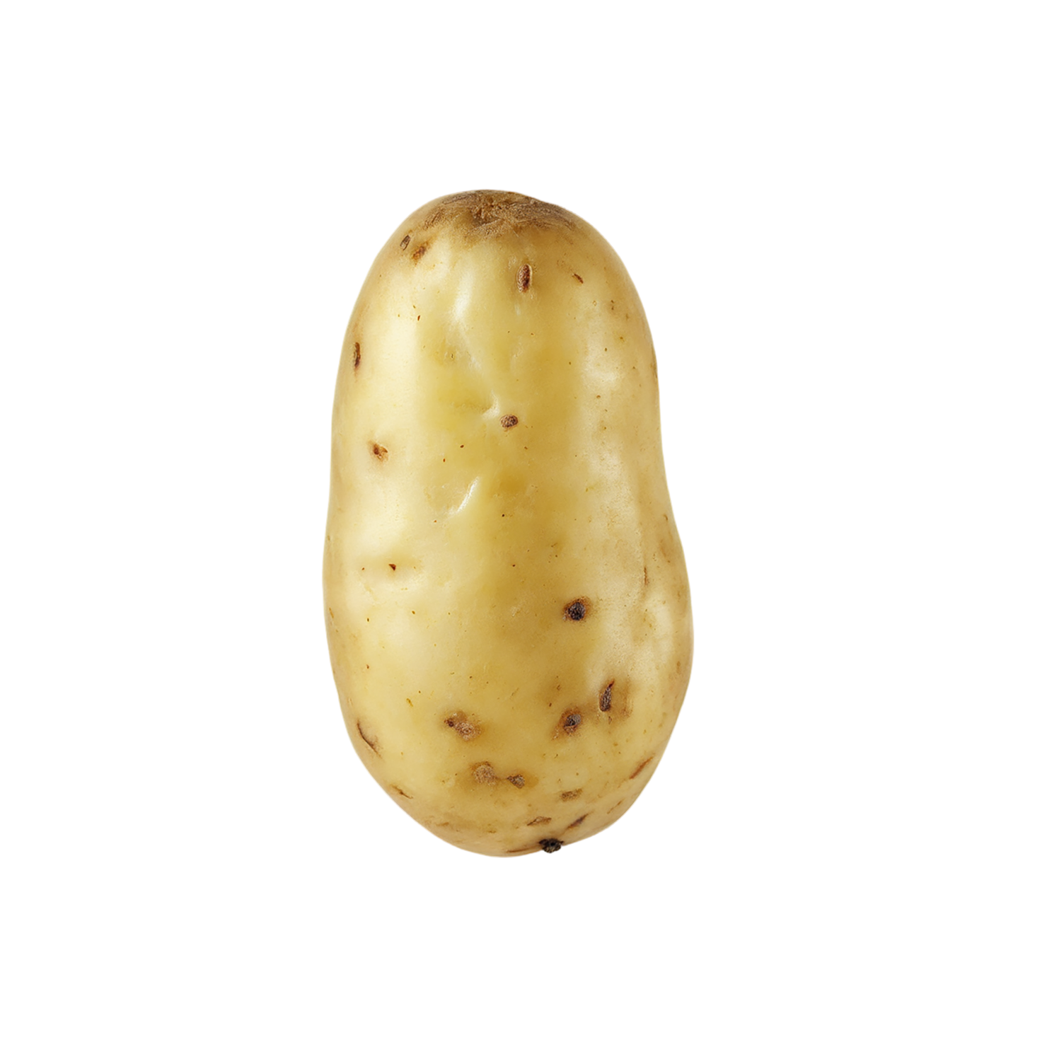 Potato vegetables isolated on transparent background #11964