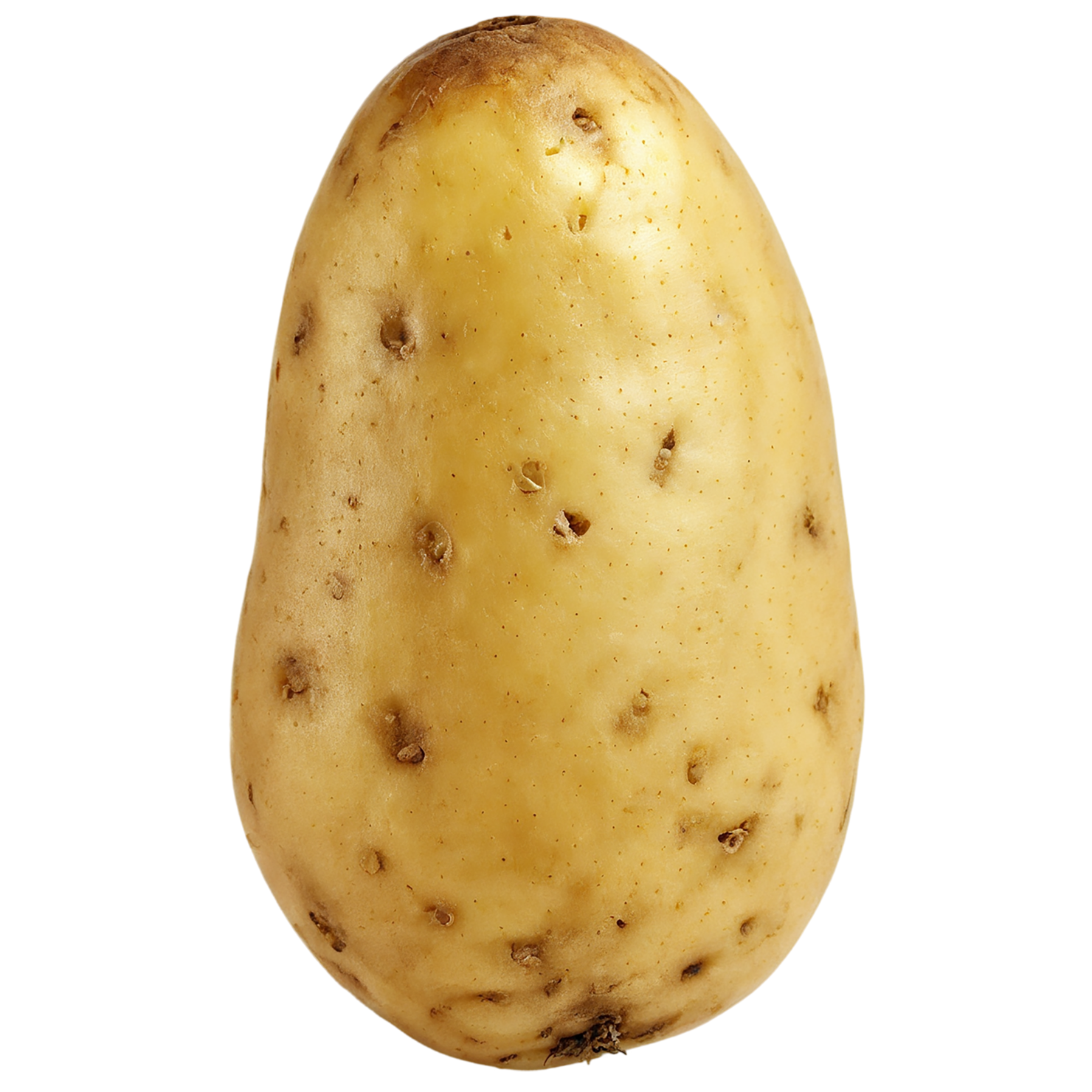 Potato vegetables isolated on transparent background #11976