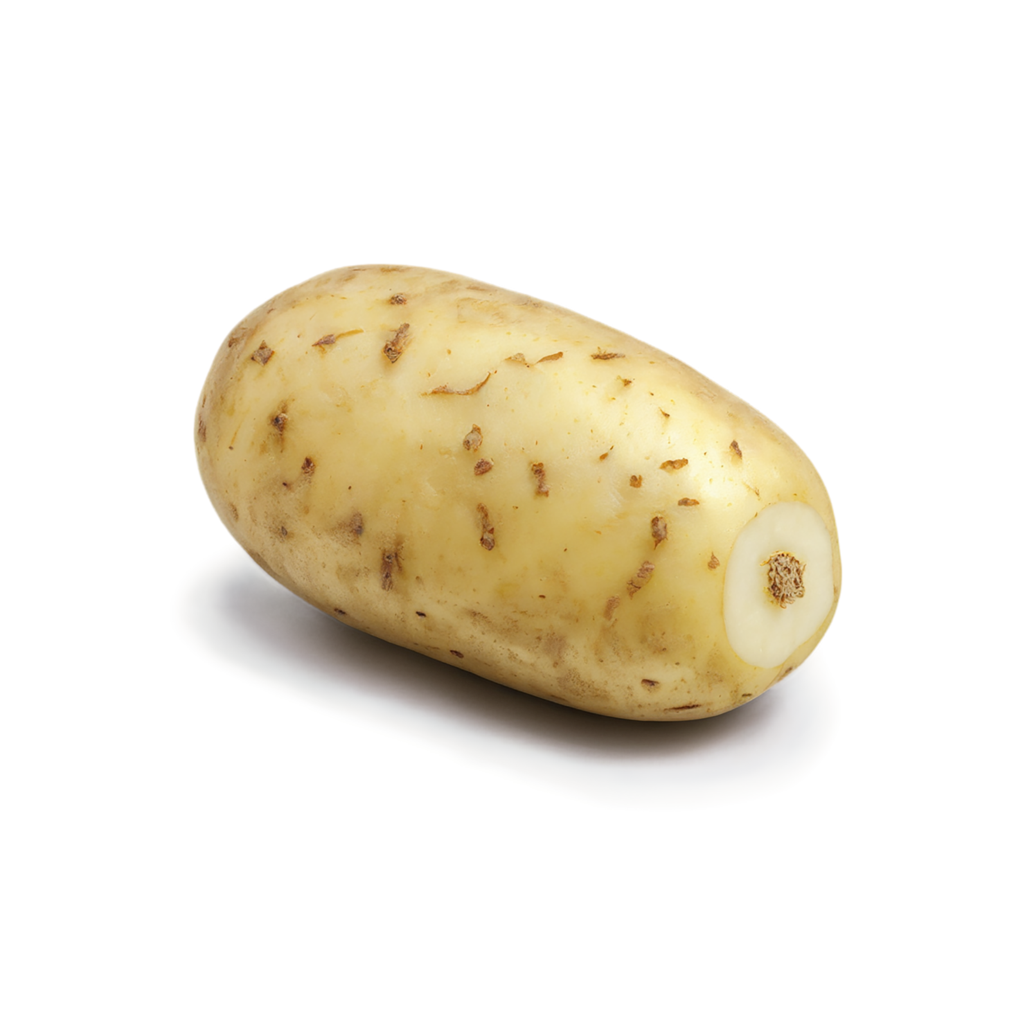 Potato vegetables isolated on transparent background #11977