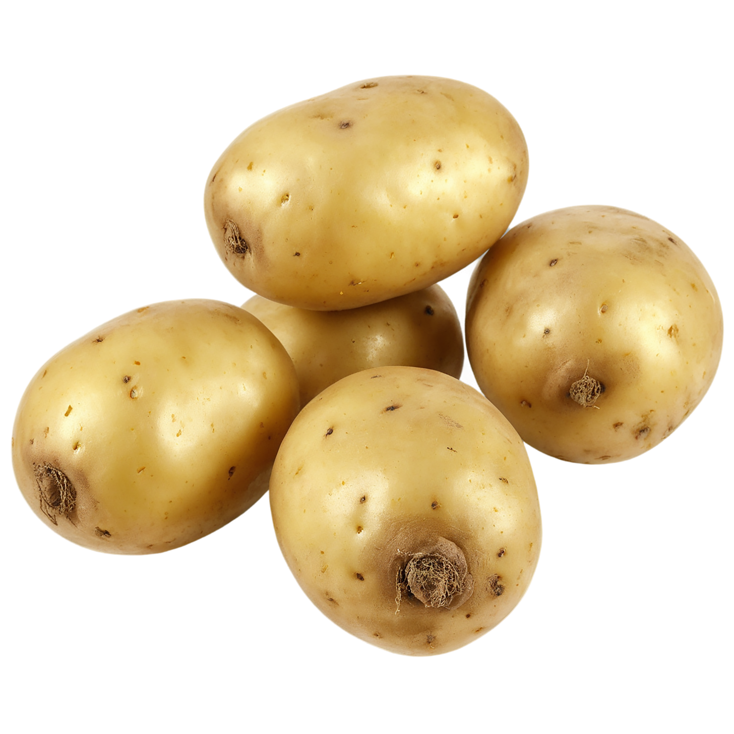 Potato vegetables isolated on transparent background #11981