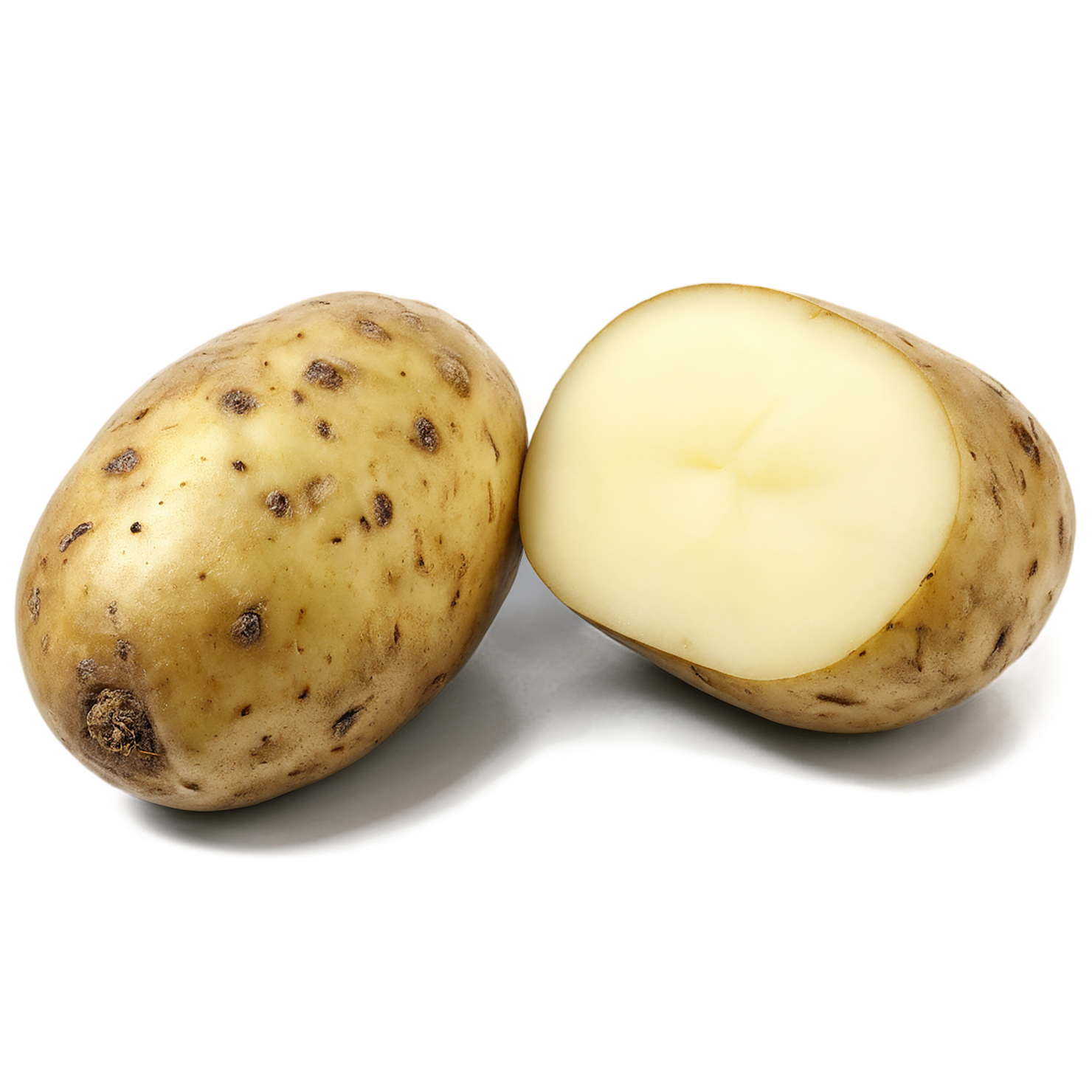 Potato vegetables isolated on transparent background #11982