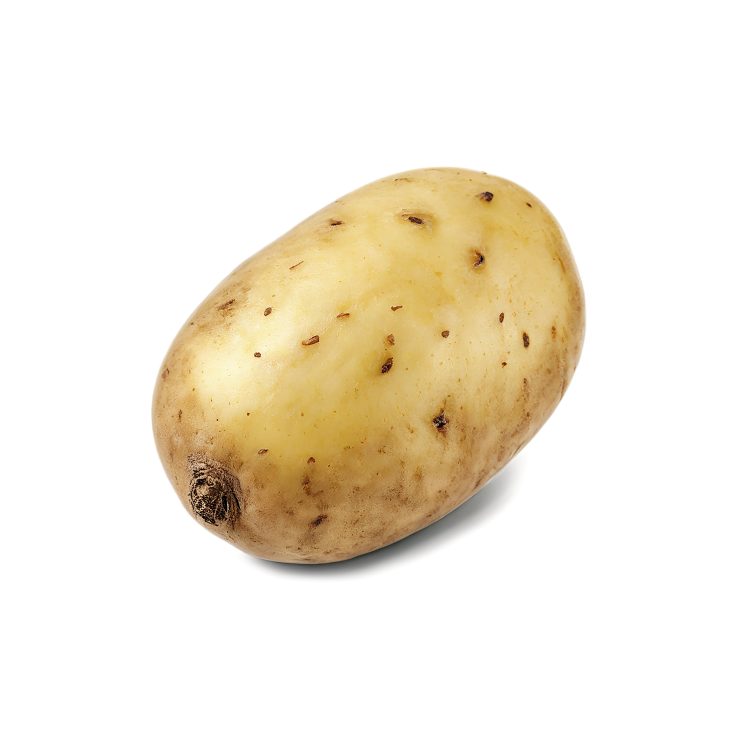Potato vegetables isolated on transparent background #11986