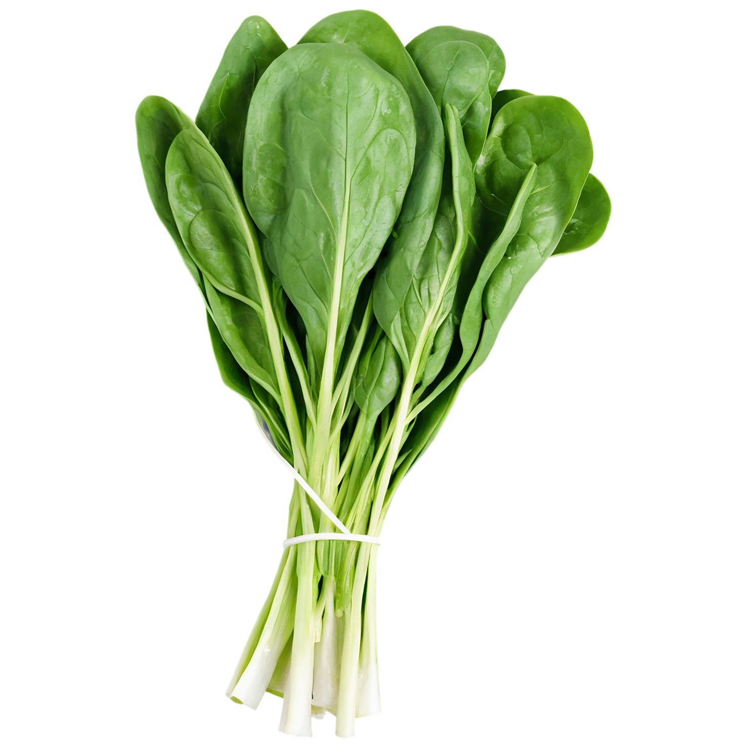Spinach vegetables isolated on transparent background #12085